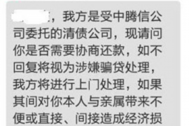 山阳山阳的要账公司在催收过程中的策略和技巧有哪些？